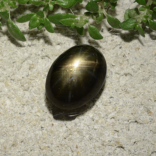2.47カラットの天然黒スターサファイア（8.8×6.5 mm・オーバルカット）
