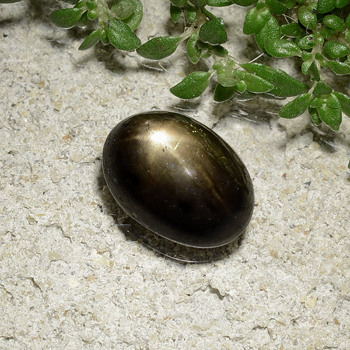 2.41カラットの天然ブラックスターサファイア、オーバルカット、オペーク