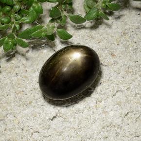 2.41カラットの天然ブラックスターサファイア、オーバルカット、オペーク