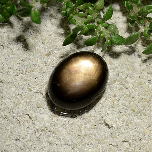 2.06カラットの天然ブラックスターサファイア、オーバルカット、オペーク