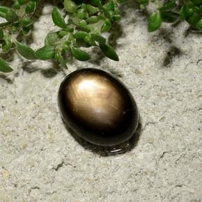 2.06カラットの天然ブラックスターサファイア、オーバルカット、オペーク