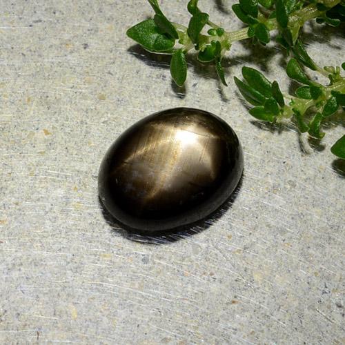 1.97カラットの天然黒スターサファイア（8.5×6.6 mm・オーバルカット）