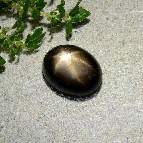 1.97カラットの天然黒スターサファイア（8.5×6.6 mm・オーバルカット）