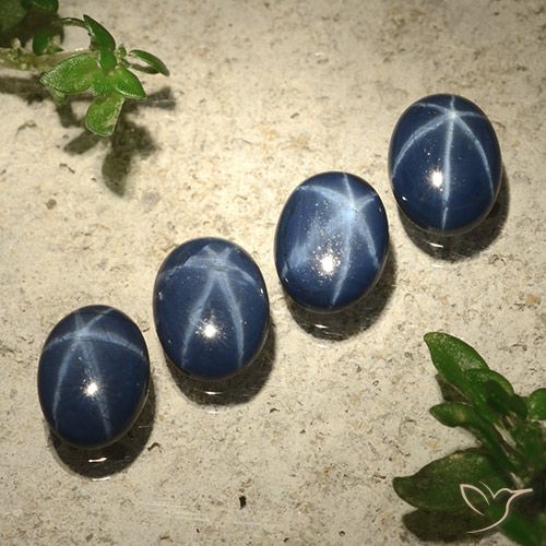 Shop natural 3.44ct 濃い紺 スターサファイア gems, 楕円形