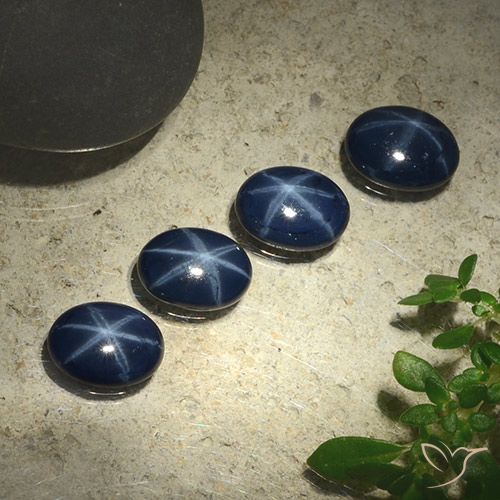 Shop natural 3.59ct 濃い紺 スターサファイア gems, 楕円形, from タイ at GemSelect. In stock, global shipping!