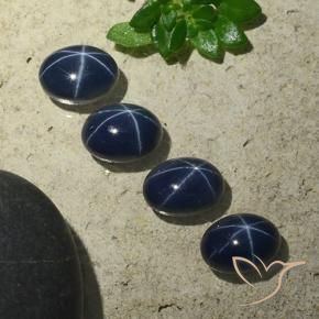 Shop natural 6.34ct 濃い紺 スターサファイア gems, 楕円形, from タイ at GemSelect. In stock, global shipping!