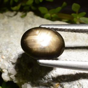 2.71カラットの天然黒スターサファイア（9.6×7.4 mm・オーバルカット）