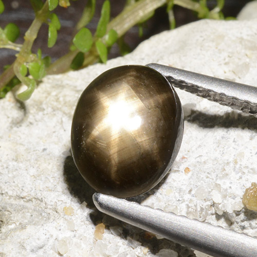 2.78カラットの天然ブラックスターサファイア、オーバルカット、オペーク