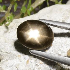 2.78カラットの天然ブラックスターサファイア、オーバルカット、オペーク