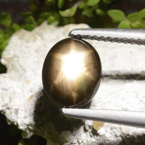 2.65カラットの天然黒スターサファイア（9.2×7.3 mm・オーバルカット）