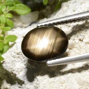 2.32カラットの天然ブラックスターサファイア、オーバルカット、オペーク