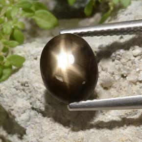 3.33カラットの天然ブラックスターサファイア、オーバルカット、オペーク