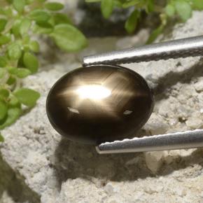 3.33カラットの天然ブラックスターサファイア、オーバルカット、オペーク