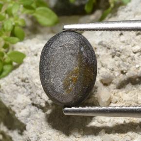 3.33カラットの天然ブラックスターサファイア、オーバルカット、オペーク