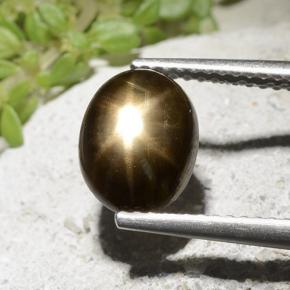 2.54カラットの天然ブラックスターサファイア、オーバルカット、オペーク