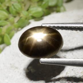 2.54カラットの天然ブラックスターサファイア、オーバルカット、オペーク