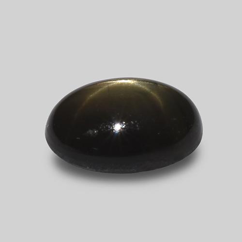 1.62カラットの天然黒スターサファイア（7.7×5.8 mm・オーバルカット）