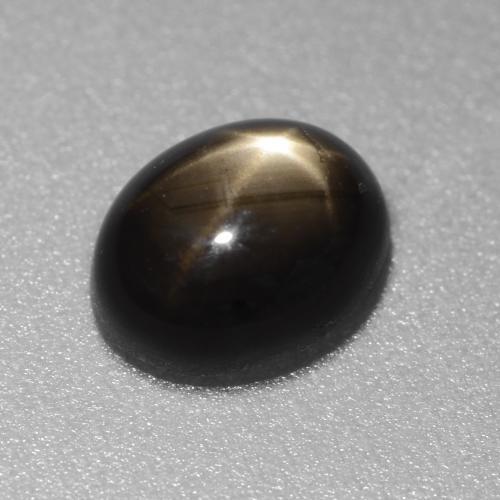 1.49カラットの天然黒スターサファイア（7×5.5 mm・オーバルカット）