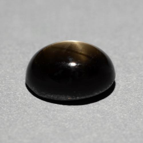 1.49カラットの天然黒スターサファイア（7×5.5 mm・オーバルカット）