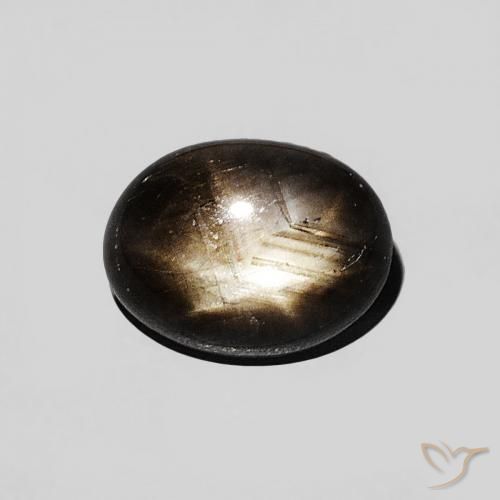 1.29ct 天然 ブラック スターサファイア, 楕円形, オペーク