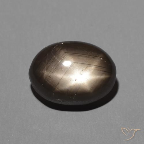 2.88ct 天然 ブラック スターサファイア, 楕円形, オペーク