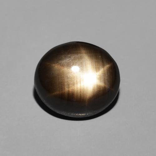 2.74ct 天然 ブラック スターサファイア, 楕円形, オペーク