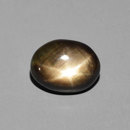 3.19ct 天然 ブラック スターサファイア, 楕円形, オペーク