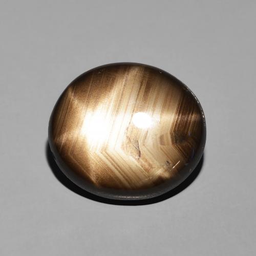 11.35ct 天然 ブラック スターサファイア, 楕円形, オペーク
