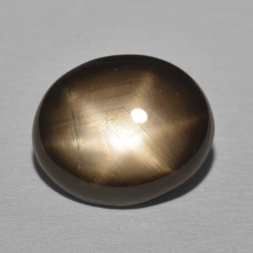 11.05ct 天然 ブラック スターサファイア, 楕円形, オペーク