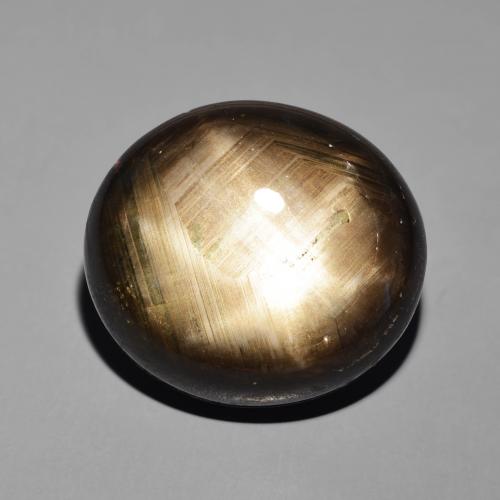 41.19ct 天然 ブラック スターサファイア, 楕円形, オペーク