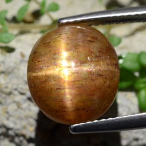 6.17カラットの天然ゴールデンブラウンスターサンストーン、オーバルカット、オペーク