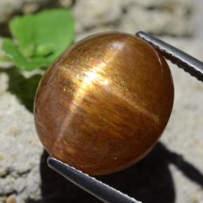 17.89カラットの天然ゴールドブラウンスターサンストーン、オーバルカット、オペーク