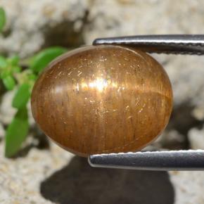 8.35カラットの天然ミディアムブラウンスターサンストーン、オーバルカット、オペーク