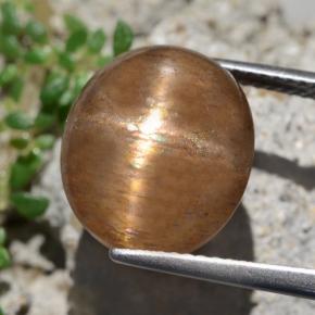 9.50カラットの天然ゴールデンブラウンスターサンストーン（13.9×12 mm・オーバルカット）