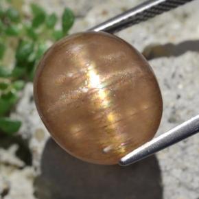 9.50カラットの天然ゴールデンブラウンスターサンストーン（13.9×12 mm・オーバルカット）
