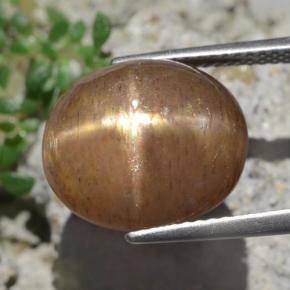 9.50カラットの天然ゴールデンブラウンスターサンストーン（13.9×12 mm・オーバルカット）