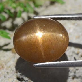 9.02カラットの天然ミディアム薄いブラウンスターサンストーン、オーバルカット、オペーク