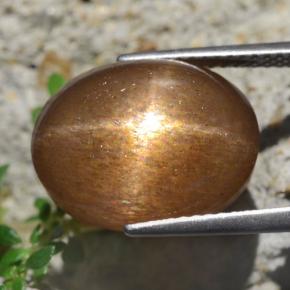 13.59カラットの天然ゴールドブラウンスターサンストーン、オーバルカット、オペーク