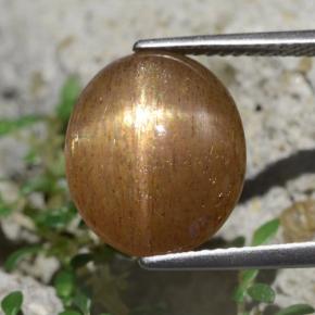 6.20カラットの天然ゴールデンブラウンスターサンストーン、オーバルカット、オペーク