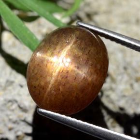 8.75カラットの天然ゴールドブラウンスターサンストーン、オーバルカット、オペーク