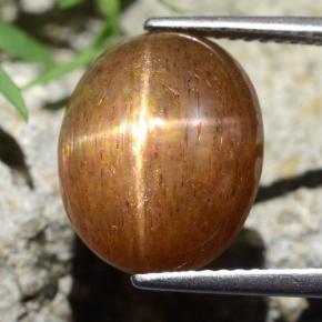 9.75カラットの天然ゴールドブラウンスターサンストーン、オーバルカット、オペーク