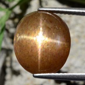 9.24カラットの天然ゴールドブラウンスターサンストーン、オーバルカット、オペーク