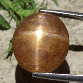 12.29カラットの天然ゴールドブラウンスターサンストーン、オーバルカット、オペーク