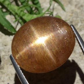 12.29カラットの天然ゴールドブラウンスターサンストーン、オーバルカット、オペーク