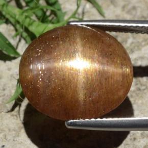 12.29カラットの天然ゴールドブラウンスターサンストーン、オーバルカット、オペーク