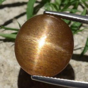 12.58カラットの天然ゴールドブラウンスターサンストーン、オーバルカット、オペーク