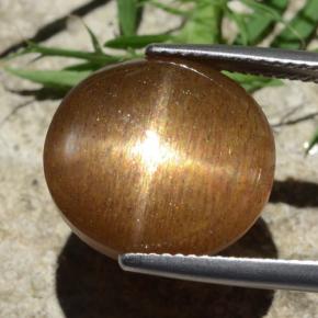 12.58カラットの天然ゴールドブラウンスターサンストーン、オーバルカット、オペーク