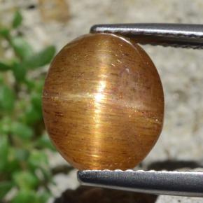 4.53カラットの天然ゴールドブラウンスターサンストーン、オーバルカット、オペーク