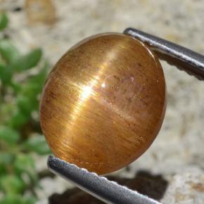 4.53カラットの天然ゴールドブラウンスターサンストーン、オーバルカット、オペーク