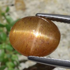 4.53カラットの天然ゴールドブラウンスターサンストーン、オーバルカット、オペーク